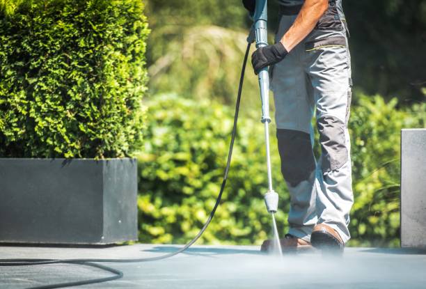 Animal Enclosure Cleaning in Salinas, CA