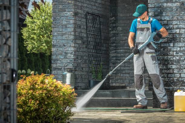 Best Soft Washing  in Salinas, CA